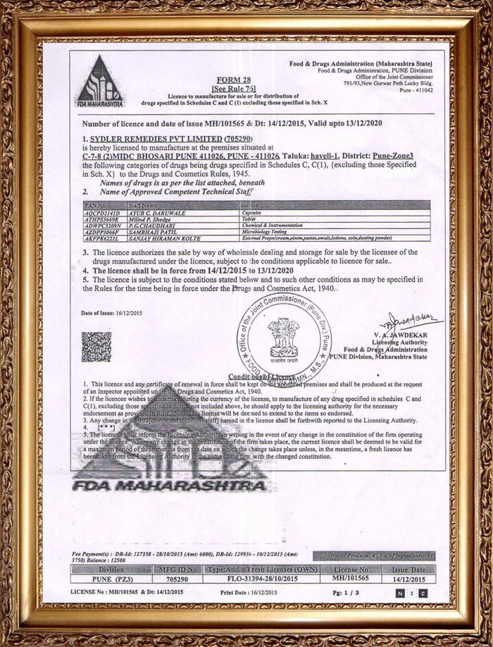 form-28-license-frame